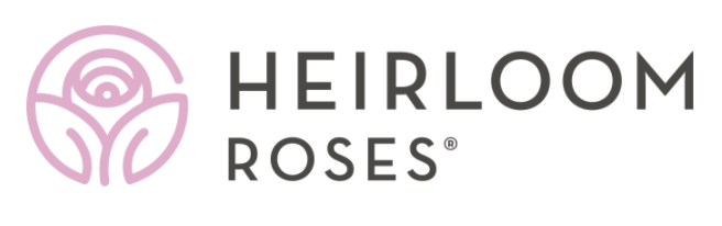 heirloom-roses